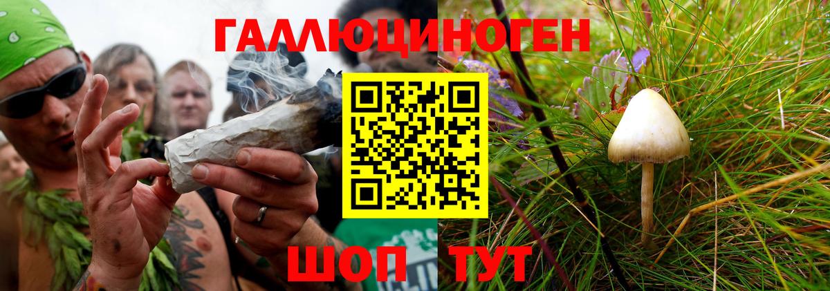 Псилоцибиновые грибы GOLDEN TEACHER  наркота  Железногорск  Галлюциногенные грибы ЛСД  Вход с VPN 